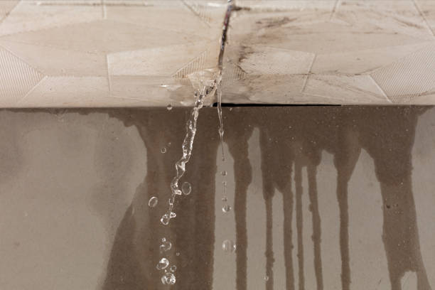Professional Burst Pipe Cleanup technician working in Silver Spring, MD